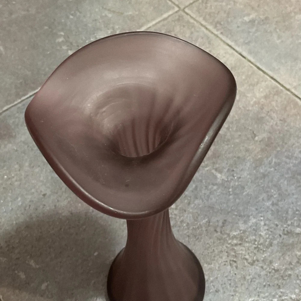 Elegant Purple glass vase